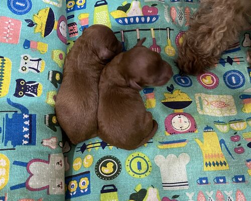 81E8004C-C160-4081-A81A-E82666B860F1