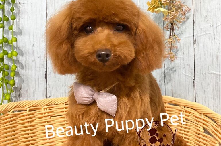 126029920_3616447915067632_4706962776150606546_o