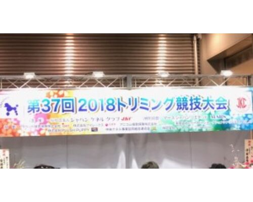 IMG_3957-300x161