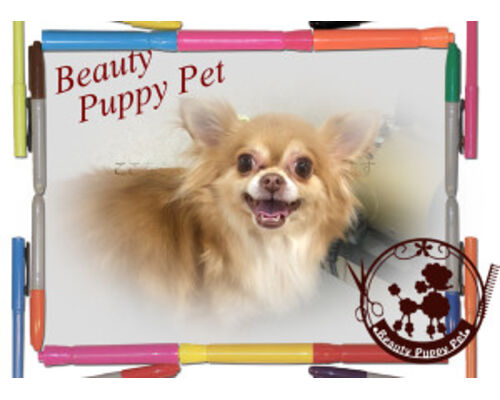 %EF%BE%9B%EF%BD%BA%EF%BE%9E%EF%BC%86%E5%BA%97%E5%90%8D_edited-2-300x214