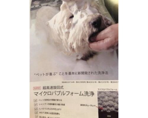 27858095_1671588152886961_6896493746506771914_n-225x300