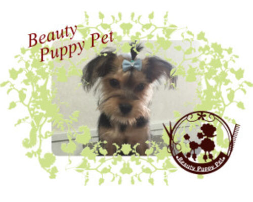 %EF%BE%9B%EF%BD%BA%EF%BE%9E%EF%BC%86%E5%BA%97%E5%90%8D-1-300x214