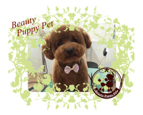 %EF%BE%9B%EF%BD%BA%EF%BE%9E%EF%BC%86%E5%BA%97%E5%90%8D-300x272